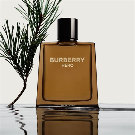 burberry herren parfüm|Burberry perfume original for men.